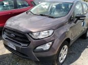 Bán lại chiếc Ecosport 2018 MT số sàn thích hợp kinh doanh 