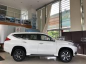 Bán ô tô Mitsubishi Pajero đời 2018, màu trắng