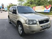 Bán xe Ford Escape sản xuất năm 2002, màu vàng, 162tr