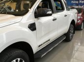 Bán xe Ford Ranger 2018 đủ màu, xe giao ngay