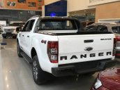 Bán xe Ford Ranger 2018 đủ màu, xe giao ngay