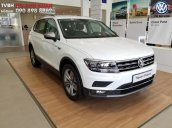 Bán Tiguan Allspace 2018 màu trắng - chính hãng Volkswagen, giá tốt, đủ màu, giao ngay, Hotline 090.898.8862