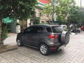 Bán xe gia đình Ford EcoSport Titanium đời 2015, màu xám (ghi)