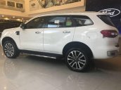 Cần bán xe Ford Everest đời 2018, màu trắng, giá tốt