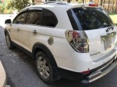 Bán Chevrolet Captiva đời 2010, màu trắng, 380tr