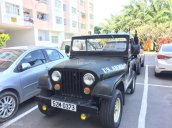 Bán xe Jeep Wrangler năm 1980, màu xanh lục, xe nhập, giá tốt