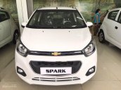 Bán Chevrolet Spark van 2018, trả trước 40 triệu nhận xe ngay, hỗ trợ vay cao 90%, gọi Trân 0937849694