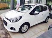 Bán Chevrolet Spark van 2018, trả trước 40 triệu nhận xe ngay, hỗ trợ vay cao 90%, gọi Trân 0937849694