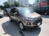 Bán xe Ford EcoSport sản xuất năm 2016, màu xám chính chủ