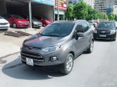 Bán xe Ford EcoSport sản xuất năm 2016, màu xám chính chủ