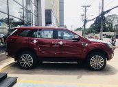 Ưu đãi lớn với Ford Everest 2019 đủ màu giao xe ngay, hỗ trợ vay 80%. LH: 0901.456.680