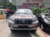 Cần bán Toyota Land Cruiser năm sản xuất 2018 giá cạnh tranh