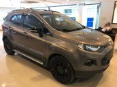 Bán Ford EcoSport 1.5L Titanium 2017, màu xám (ghi), 590tr
