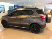 Bán Ford EcoSport 1.5L Titanium 2017, màu xám (ghi), 590tr
