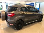 Bán Ford EcoSport 1.5L Titanium 2017, màu xám (ghi), 590tr
