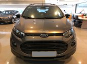 Bán Ford EcoSport 1.5L Titanium 2017, màu xám (ghi), 590tr
