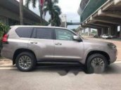 Cần bán Toyota Land Cruiser năm sản xuất 2018 giá cạnh tranh