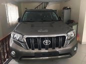 Bán Toyota Prado TXL 2.7L đời 2017, màu xám 