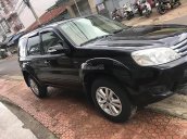 Cần bán xe Ford Escape năm sản xuất 2010, màu đen
