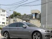 Xe BMW 5 Series 520i năm sản xuất 2013, màu xám
