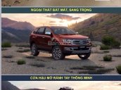 Bán xe Ford Everest đời 2018, nhập khẩu nguyên chiếc, hỗ trợ NH 80% Ford Bình Dương