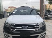 Cần bán xe Ford Everest Titanium Bi Turbo đời 2018, màu đen, nhập khẩu nguyên chiếc