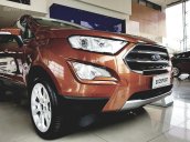 Bán Ecosport chỉ cần 185 triệu lăn bánh, giao xe ngay, lái thử xe tận nơi