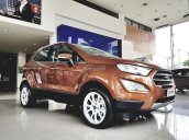 Bán Ecosport chỉ cần 185 triệu lăn bánh, giao xe ngay, lái thử xe tận nơi