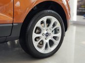 Bán Ecosport chỉ cần 185 triệu lăn bánh, giao xe ngay, lái thử xe tận nơi