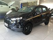 Ford EcoSport 2018, KM, BHTV, bậc lên xuống, camera hành trình, dán film, sàn da. LH: 096.147.1536