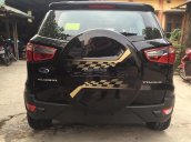 Ford EcoSport 2018, KM, BHTV, bậc lên xuống, camera hành trình, dán film, sàn da. LH: 096.147.1536