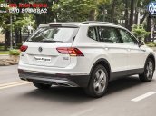 Bán Tiguan Allspace 2018 màu trắng - Lô xe tháng 10, thủ tục nhanh gọn, nhận xe ngay trong tháng/ Hotline: 090.898.8862