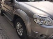 Bán xe Ford Escape 2.3AT sản xuất 2009, màu xám như mới giá cạnh tranh