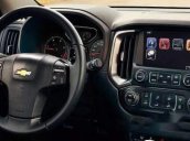 Cần bán Chevrolet Trailblazer đời 2018, màu bạc, nhập khẩu