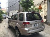 Xe Ford Escape đời 2010, màu bạc, bán giá tốt