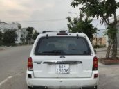 Bán Ford Escape năm sản xuất 2002, màu trắng còn mới