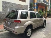 Xe Ford Escape đời 2010, màu bạc, bán giá tốt