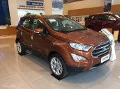 Bán xe Ford EcoSport Ford Ecosport 2018 năm 2018, màu cam