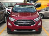 Giá ưu đãi tốt cho chuyên gia đường phố, bán Ford Ecosport Titanium, đủ màu giao ngay. 0968.912.236