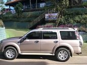 Cần bán xe Ford Everest 2014, màu bạc chính chủ, giá tốt