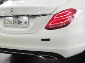 Cần bán xe Mercedes 250 sản xuất năm 2018, màu trắng