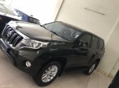 Cần bán Toyota Prado - TXL - 2016, biển thành phố, xe đẹp như mơ, hỗ trợ vay ngân hàng, liên hệ Mr Trung-0988599025