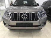 Cần bán Toyota Land Cruiser 2018 new 100%, màu bạc, xe nhập, giá cạnh tranh. Hỗ trợ ngân hàng