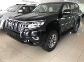 Bán Toyota Land Cruiser 2018 new 100%, xe nhập, giá cạnh tranh. Hỗ trợ ngân hàng LH - 094 711 6996