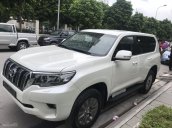 Bán xe Toyota Land Cruiser đời 2018, màu trắng, nhập khẩu - Mr Trung 0988599025