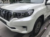 Bán xe Toyota Land Cruiser đời 2018, màu trắng, nhập khẩu - Mr Trung 0988599025