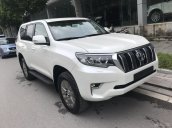 Bán xe Toyota Land Cruiser đời 2018, màu trắng, nhập khẩu - Mr Trung 0988599025