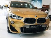 Bán xe BMW X2 năm sản xuất 2018, nhập khẩu