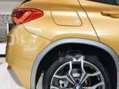 Bán xe BMW X2 năm sản xuất 2018, nhập khẩu