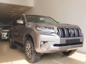 Bán xe Toyota Land Cruiser Prado VX năm sản xuất 2018, màu nâu mới 100%